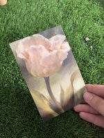 کارت دعوت عقدکنان اقتصادی؛ سادگی شیک برای لحظه‌ای ماندگار عقدکنان یکی از شیرین‌ترین، احساسی‌ترین و مهم‌ترین لحظات زندگی هر زوج جوان است. مراسمی که آغاز یک زندگی مشترک را با عشق، احترام و تعهد جشن می‌گیرد. در این مراسم معمولاً تعداد مهمانان محدودتر و فضای مراسم صمیمی‌تر است، و به همین دلیل کارت دعوتی که برای آن در نظر گرفته می‌شود، باید دقیقاً همین حس و حال را منتقل کند. کارت دعوت عقدکنان اقتصادی منش استور با طراحی زیبا، چاپ افست حرفه‌ای و قیمت مقرون‌به‌صرفه، انتخابی هوشمندانه برای این شب خاص است.